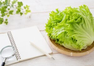 レタスの漢字「萵苣」の読み方や意味を調べるイメージ