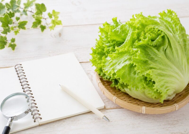 レタスの漢字「萵苣」の読み方や意味を調べるイメージ