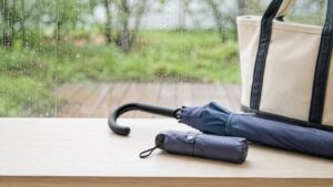 降水量2mmの日に持っておきたい折りたたみ傘と雨の日の窓辺